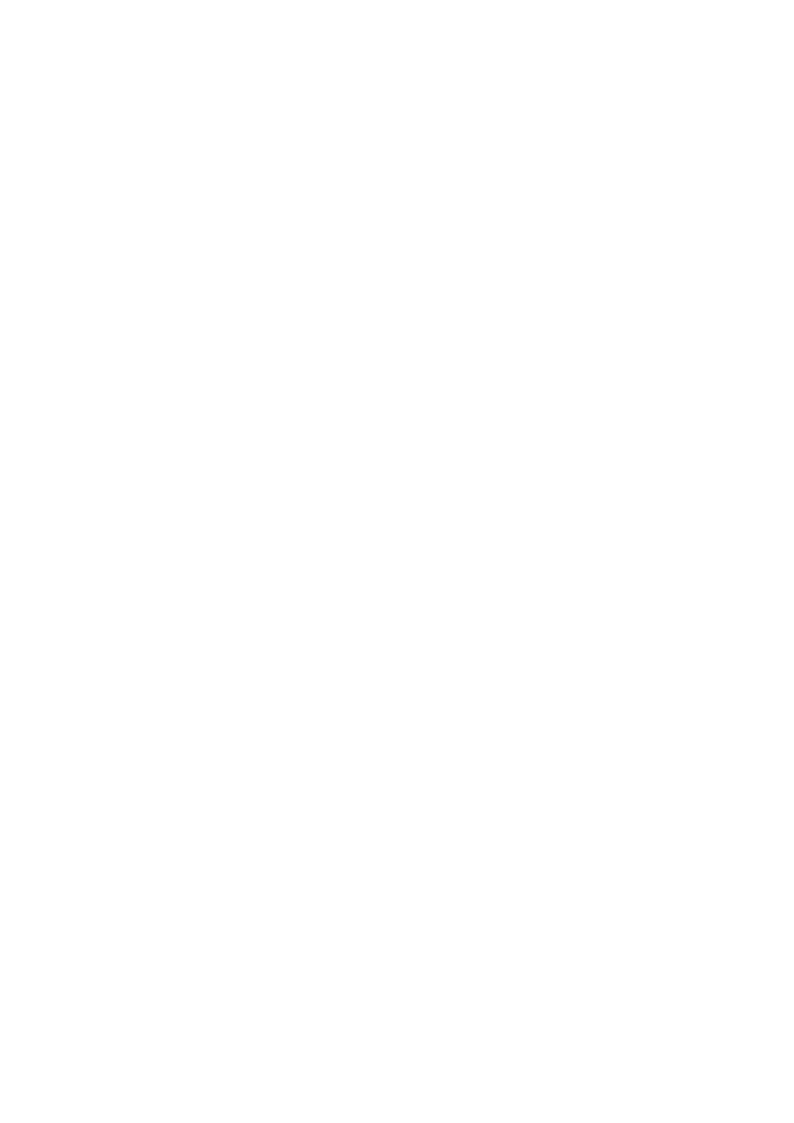decore plus 1 2222